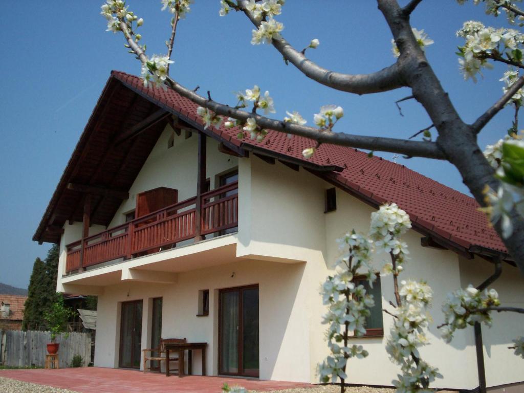 מלון Sălişte Casa Rudi & Ella מראה חיצוני תמונה